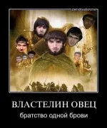 16779765.webp