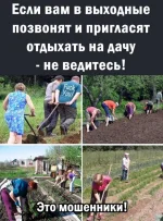 IMG-20220520-WA0000.webp