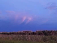 20220523_192817.webp