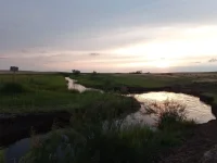 20220523_190307.webp