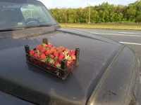 20220524_185358.webp