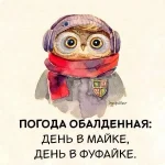 IMG-20220527-WA0000.webp