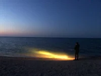 IMG-20220529-WA0025.webp