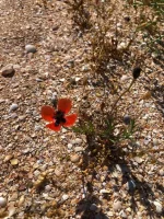 IMG-20220529-WA0011.webp