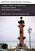 IMG-6e9096570b110c2efdf2cf86b30d59a1-V.webp