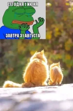 16822721.webp