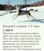 1567814603151149586.webp
