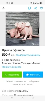 1654146578095.webp