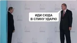 16828640.webp