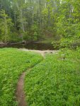 IMG-20220531-WA0011.jpg