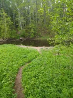 IMG-20220531-WA0011.webp