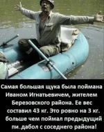 1654274855720.webp