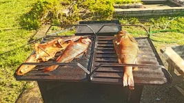 IMG-20220605-WA0002.webp
