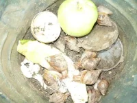 y_45aa2c0c.webp