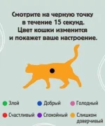 16843688.webp