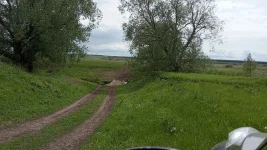 IMG_20220605_123625.jpg