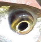 20220506_081826.jpg