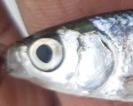 20220506_081913.jpg