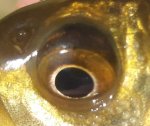 20220508_083447.jpg