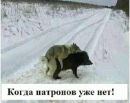 IMG-20220607-WA0003.webp