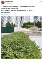 1654668147_pressa_tv_socseti-22.webp