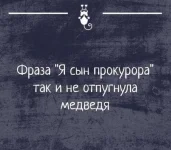 16855421.webp