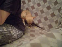 IMG_20220603_002733.webp