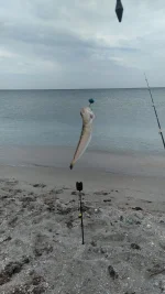 IMG-20220613-WA0000.webp