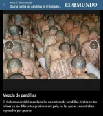 16866079.webp