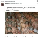 16866078.webp