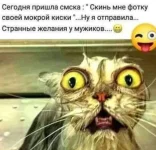 изображение_viber_2022-06-06_09-15-51-080.webp