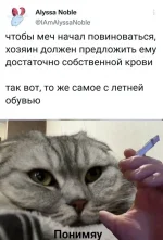 16873687.webp