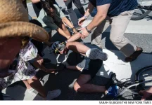 16880453.webp