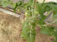 20220620_162310.webp