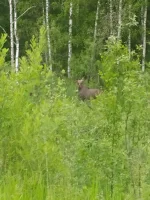 IMG-20220627-WA0001.webp