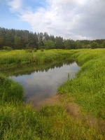 IMG-20220627-WA0000.webp