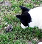 IMG_20220625_183555.jpg