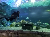 20220628_155011.webp