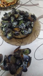 IMG-20220628-WA0005.webp