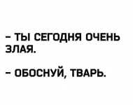 16916210.webp