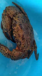 IMG-20220629-WA0002.webp