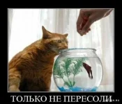 5276143_original.webp
