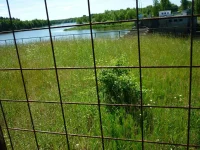 IMG-20220701-WA0009.webp