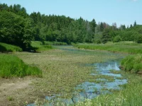IMG-20220701-WA0007.webp