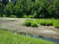 IMG-20220701-WA0008.webp