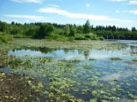 IMG-20220701-WA0006.webp