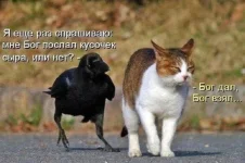 qNEL6vXTuqpPOX0Um2-FYXV_gCr630F5HzOZbmjsQTlfToBSHTiGNZsrlHGjrbAKG2CkKO95cOMwkzpqbc3NGnp5.webp