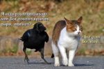 qNEL6vXTuqpPOX0Um2-FYXV_gCr630F5HzOZbmjsQTlfToBSHTiGNZsrlHGjrbAKG2CkKO95cOMwkzpqbc3NGnp5.jpg
