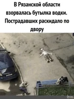1656957368638.webp