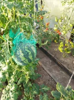 IMG_20220704_194357.webp